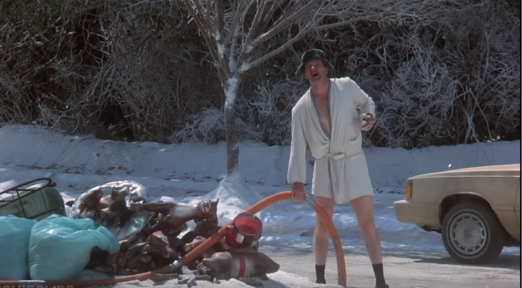 Image of uncle Eddie from the movie "Christmas Vacation."